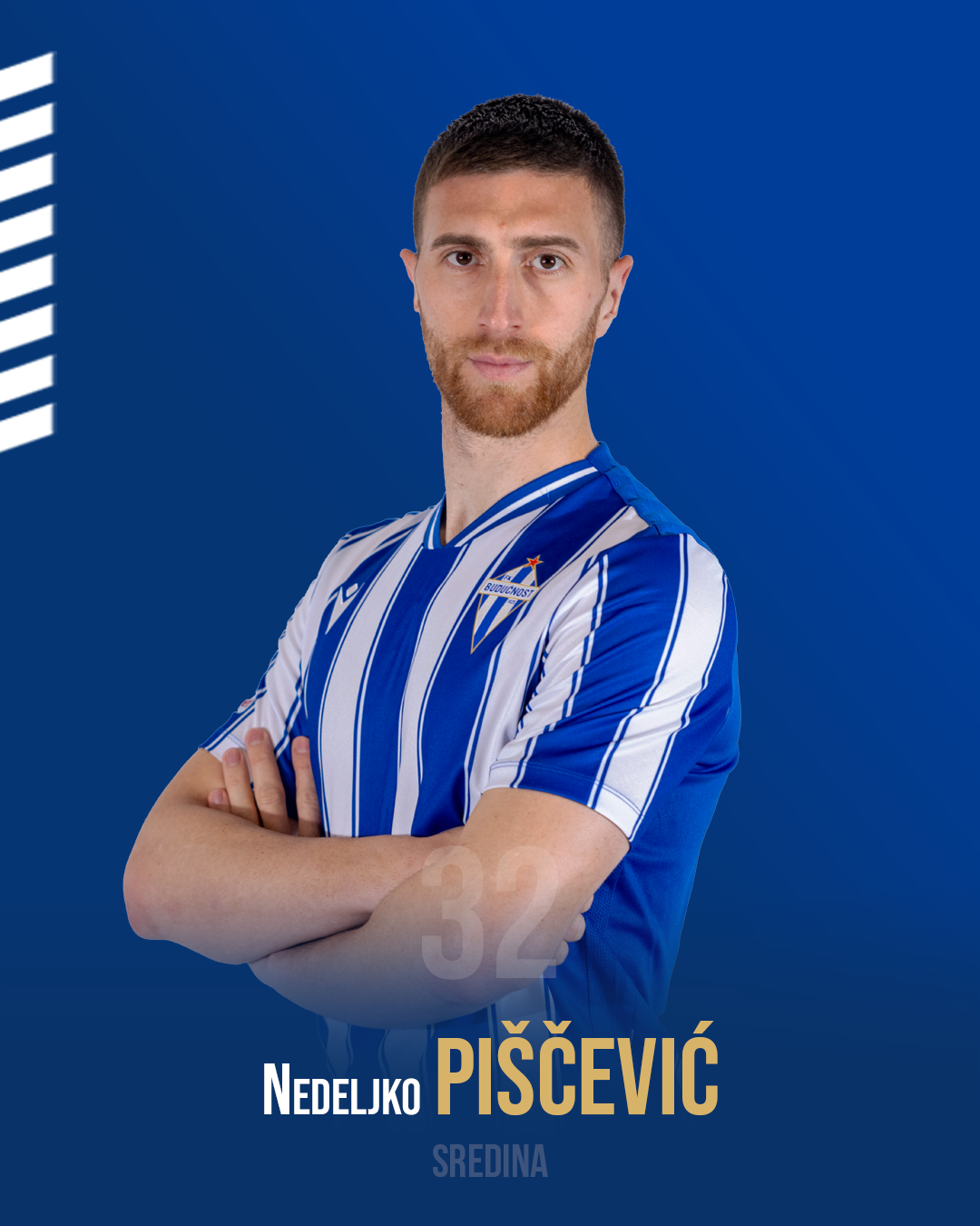 Nedeljko Piscevic hover