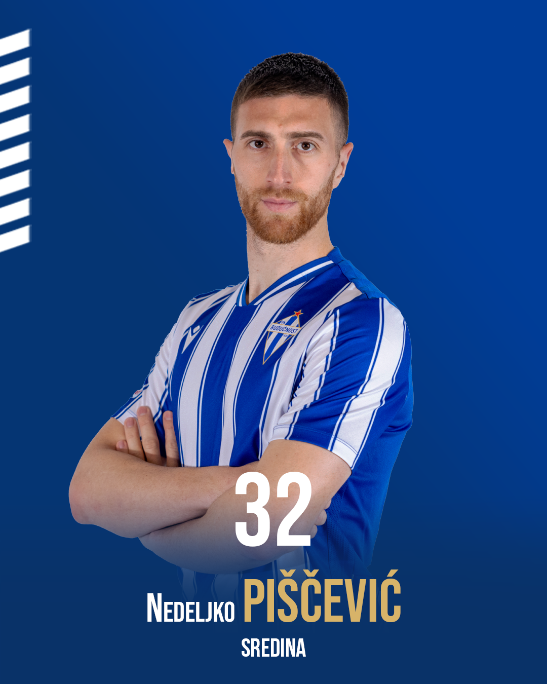 Nedeljko Piscevic